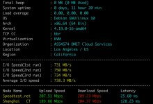 DMIT洛杉矶CN2 GIA测评:三网回程CN2 GIA,国内速度优秀,美国原生IP,解锁Netflix-VPS GO