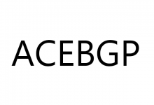 ACEBGP:美国双ISP住宅IP VPS,高速AS9929网络 ,原生IP解锁本地流媒体-VPS GO